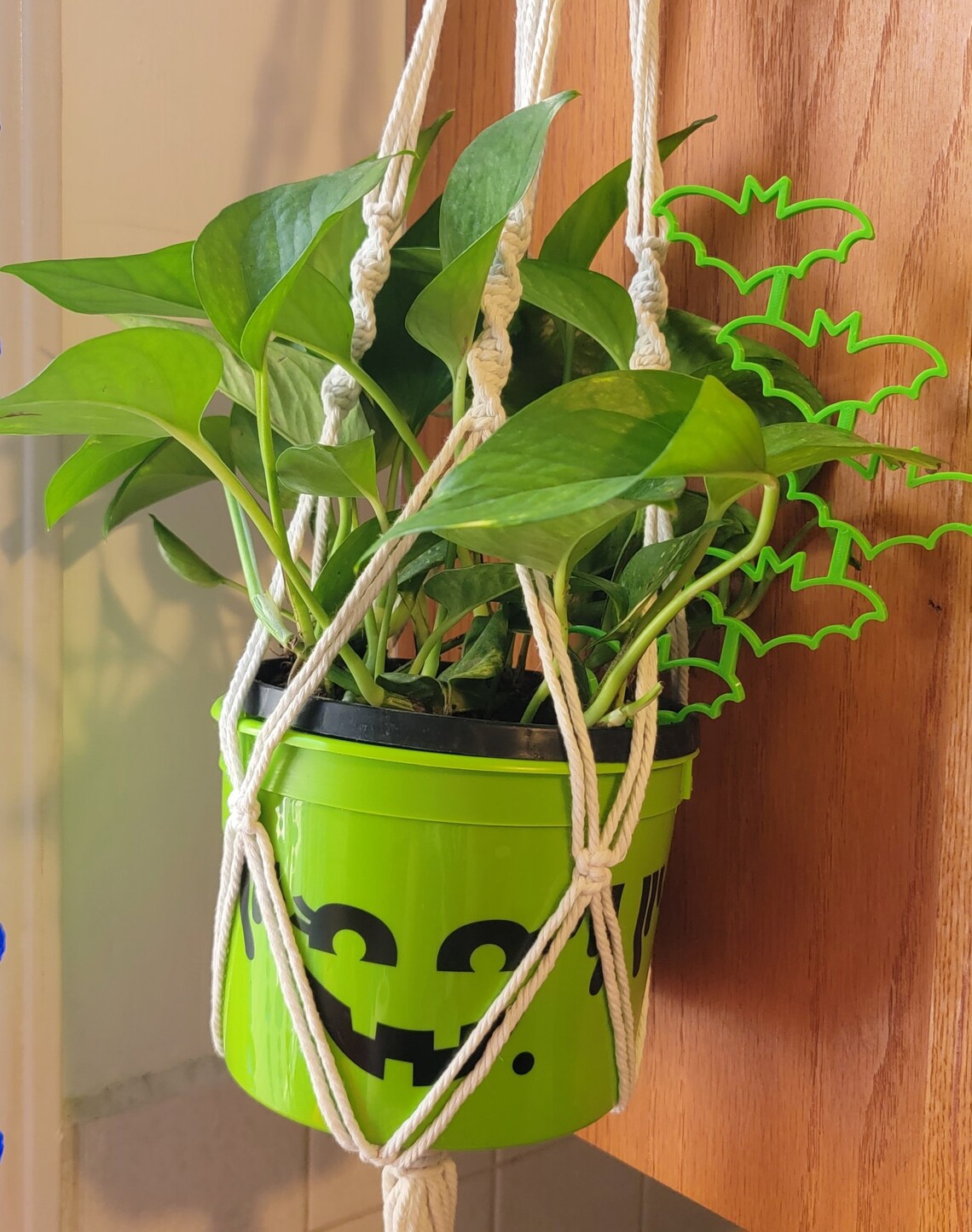 3d printed plant trellis Bats 3D Printed Spooky Indoor House Plant Trellis Decoration – Printy Vibes
