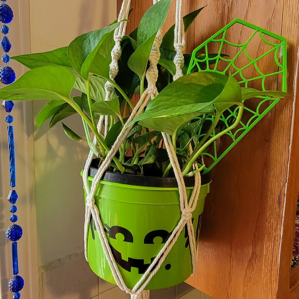 Spiderweb Coffin 3D Printed Spooky Indoor House Plant Trellis Decoration